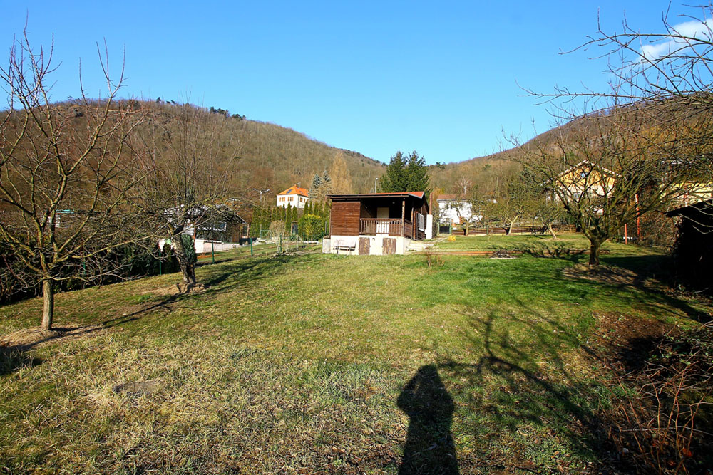 img5871a.jpg