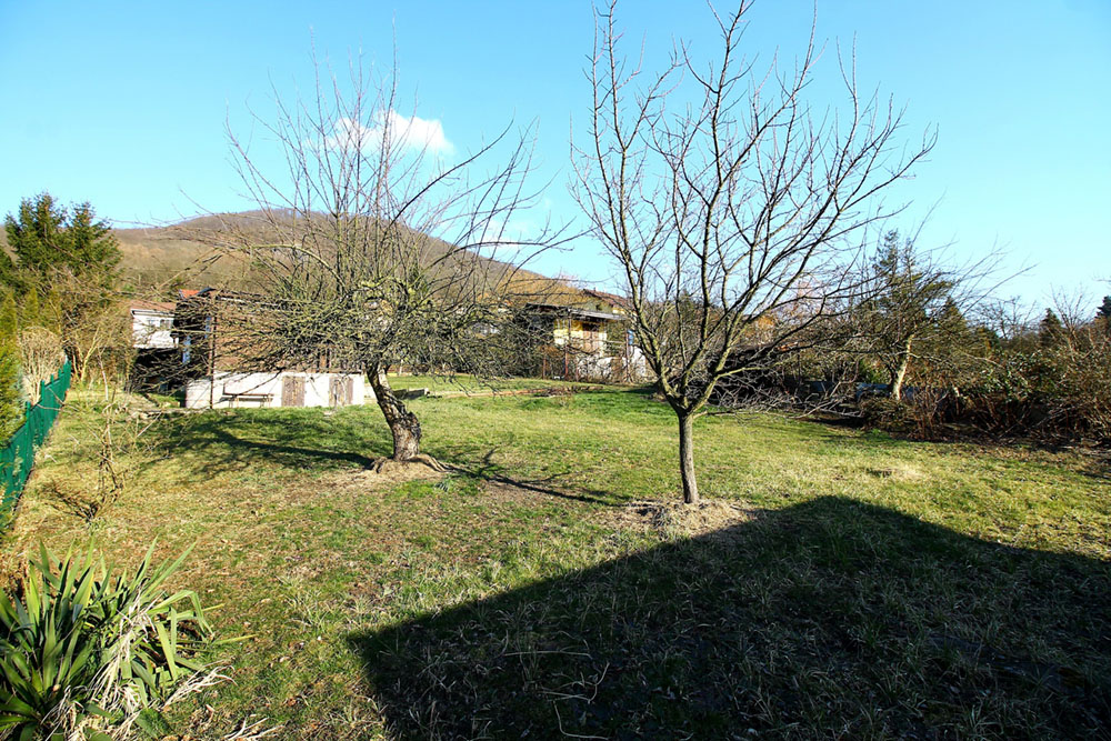 img5876a.jpg