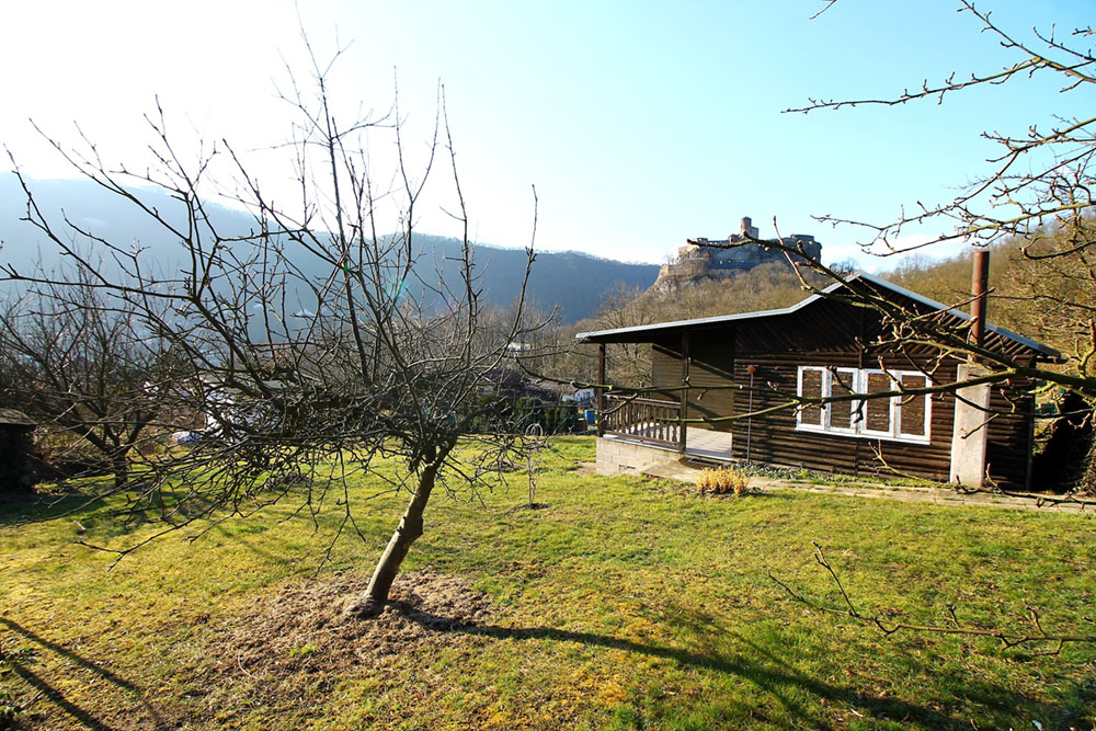 img5882a.jpg